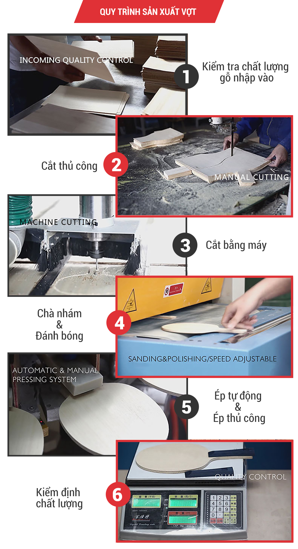 vợt bóng bàn vợt bóng bàn