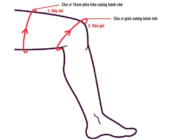 Bó gối bonbone FIT Knee