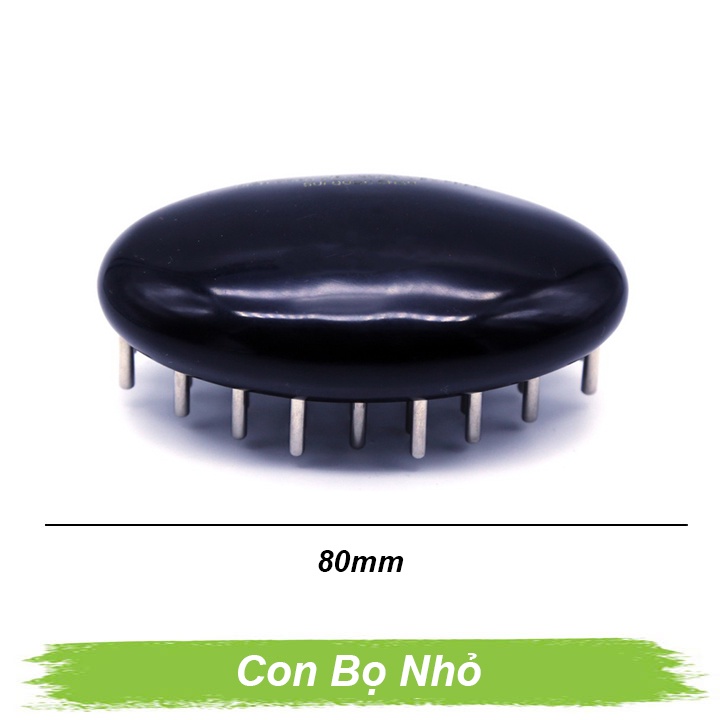 Lược con bọ nhỏ
