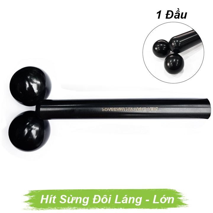 Hít sừng đôi láng lớn Hít sừng đôi láng lớn