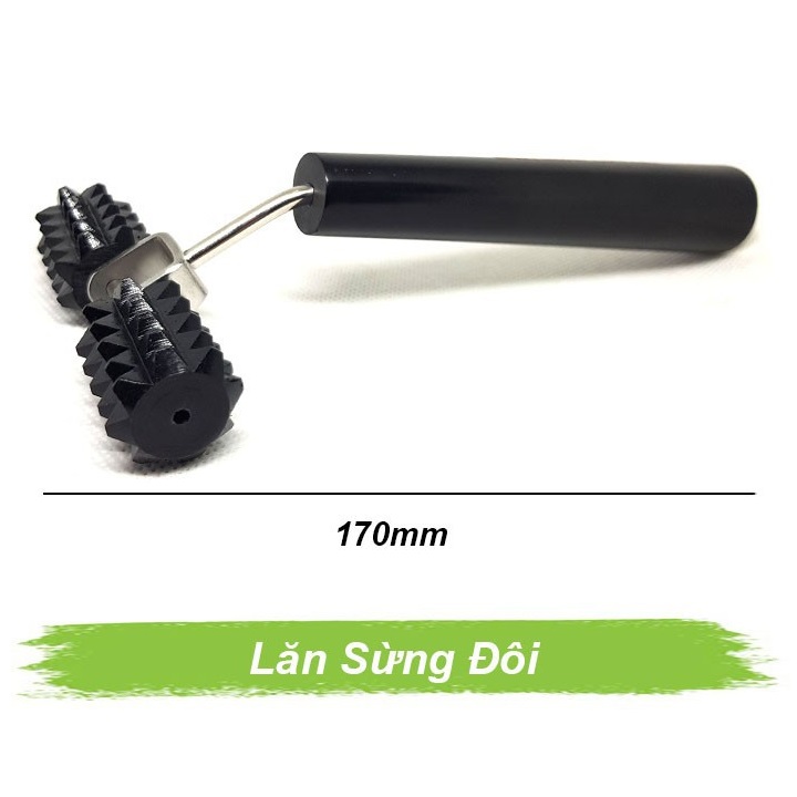Lăn sừng đôi lớn