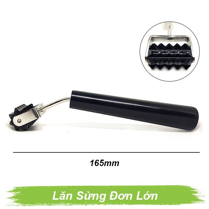 Lăn sừng đơn lớn Lăn sừng đơn lớn