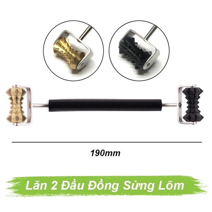 Lăn đồng sừng lõm Lăn đồng sừng lõm