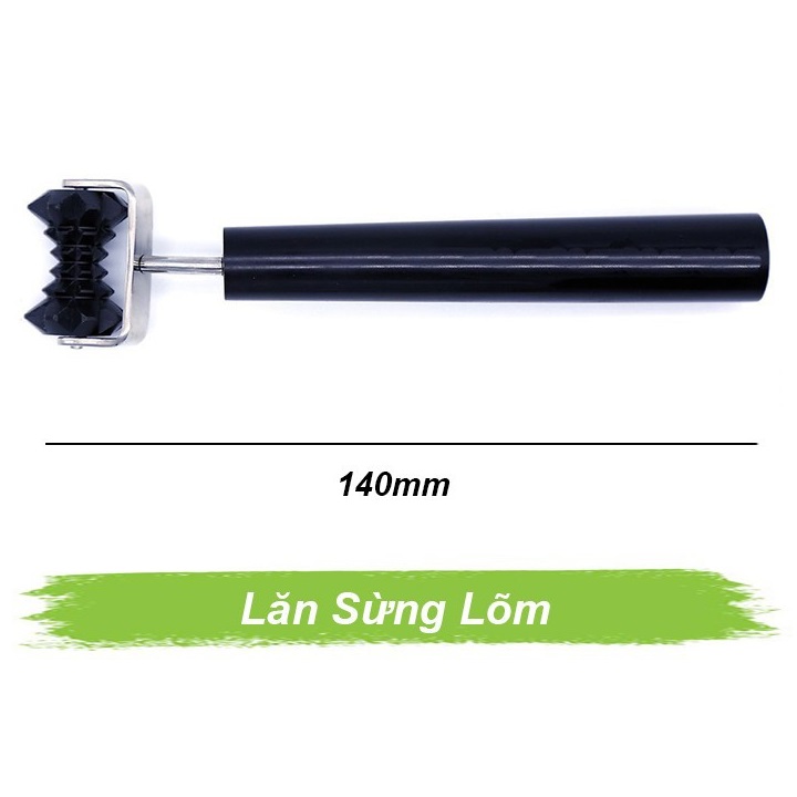 Lăn sừng lõm
