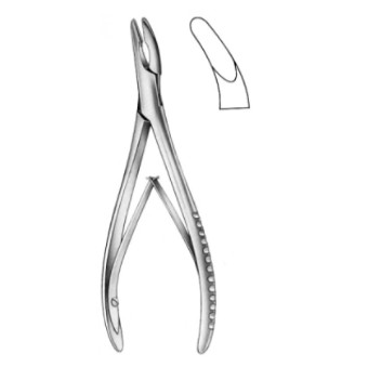 Gu gặm xương 18cm Gu gặm xương 18cm