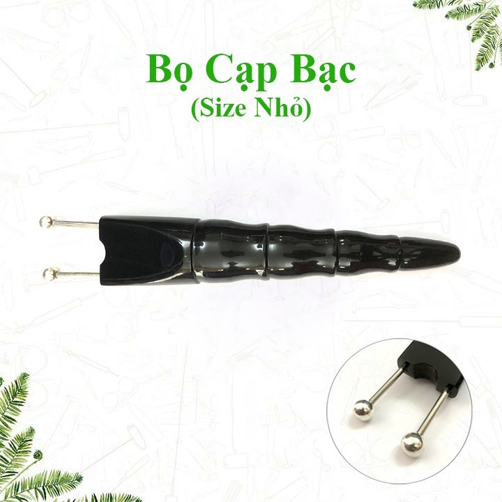 Bọ cạp bạc 8 ly Bọ cạp bạc 8 ly