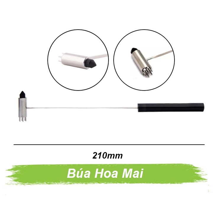 Búa hoa mai Búa hoa mai